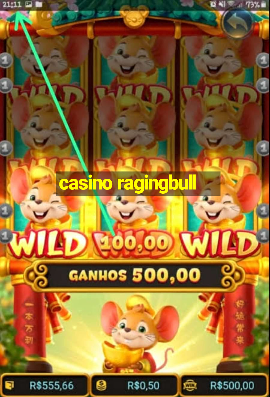 casino ragingbull