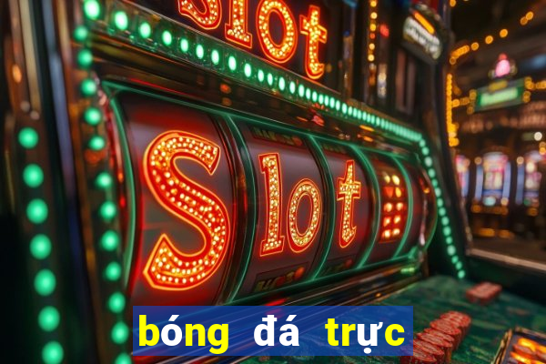 bóng đá trực tiếp socolive