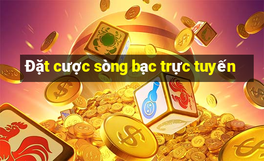 Đặt cược sòng bạc trực tuyến