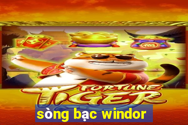 sòng bạc windor