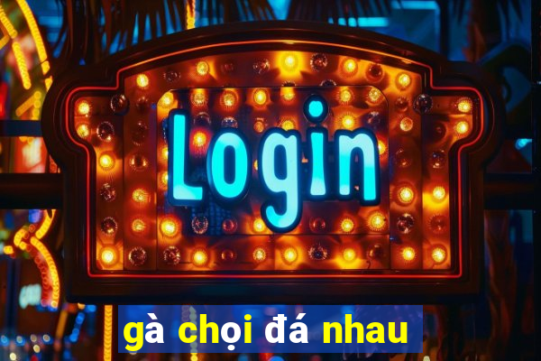 gà chọi đá nhau