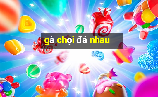 gà chọi đá nhau