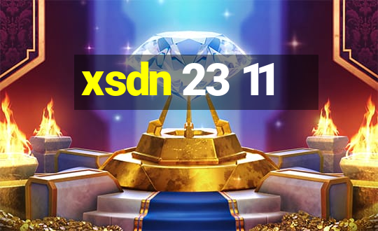 xsdn 23 11