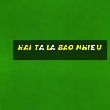 hai tá là bao nhiêu