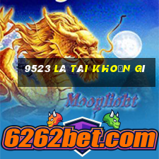 9523 là tài khoản gì