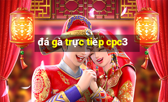 đá gà trực tiếp cpc3