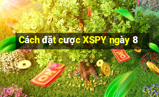 Cách đặt cược XSPY ngày 8