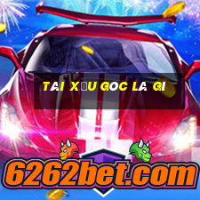 tài xỉu góc là gì