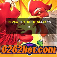 Sảnh đặt cược màu 160