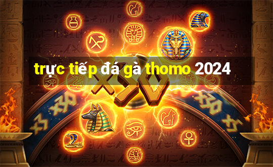 trực tiếp đá gà thomo 2024