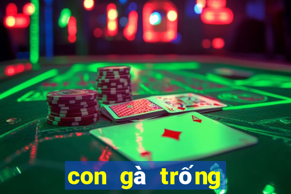 con gà trống đánh số mấy