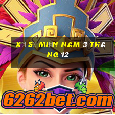 xổ số miền nam 3 tháng 12