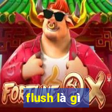 flush là gì