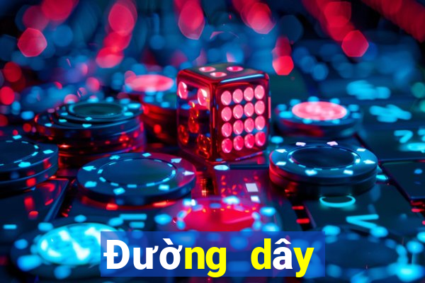 Đường dây Việt nam Aoya