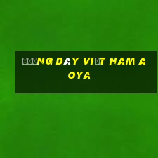 Đường dây Việt nam Aoya