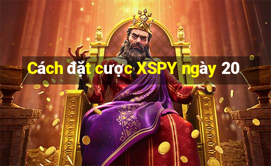 Cách đặt cược XSPY ngày 20