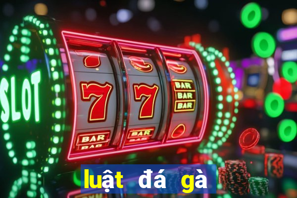 luật đá gà cựa dao