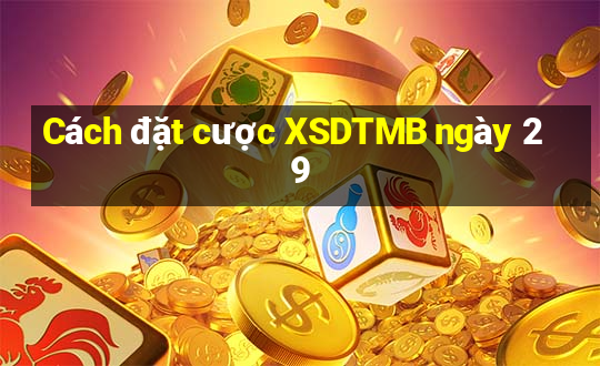 Cách đặt cược XSDTMB ngày 29