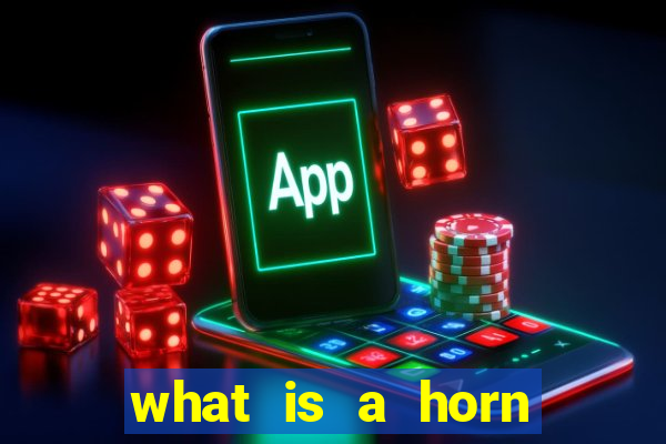 what is a horn bet in craps