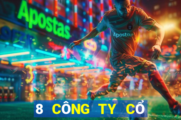 8 CÔNG TY CỔ PHẦN BAO CAI