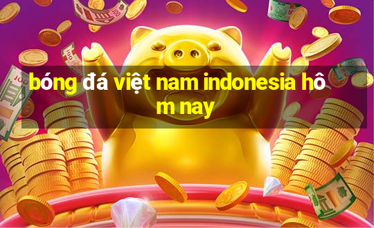 bóng đá việt nam indonesia hôm nay