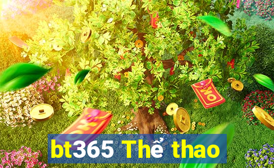 bt365 Thể thao