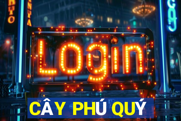 CÂY PHÚ QUÝ