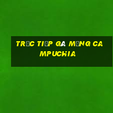 trực tiếp gà mạng campuchia