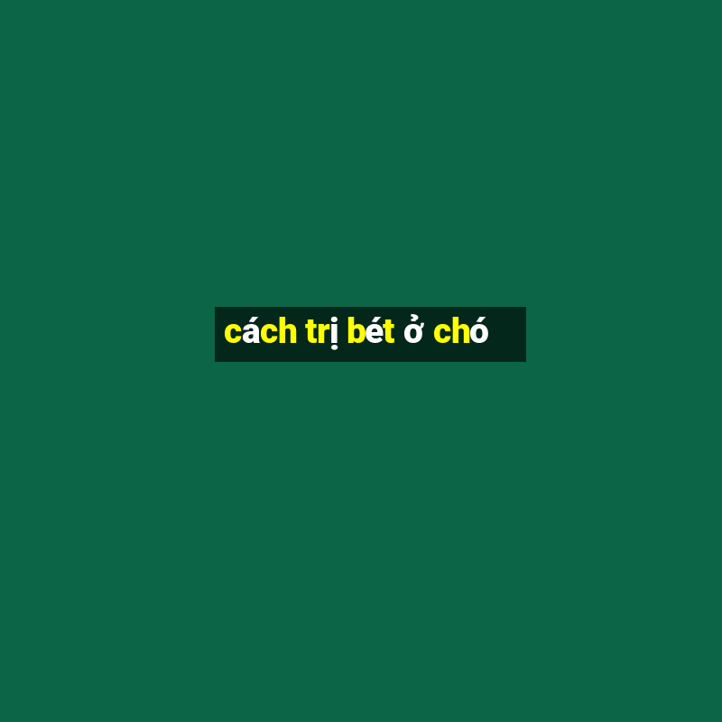 cách trị bét ở chó