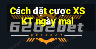 Cách đặt cược XSKT ngày mai