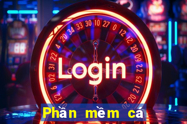 Phần mềm cá cược bóng đá Tải về