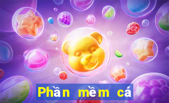 Phần mềm cá cược bóng đá Tải về