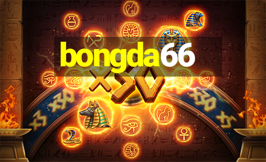 bongda66