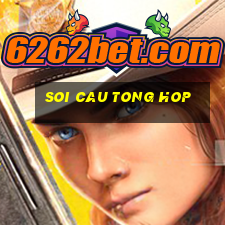 soi cau tong hop