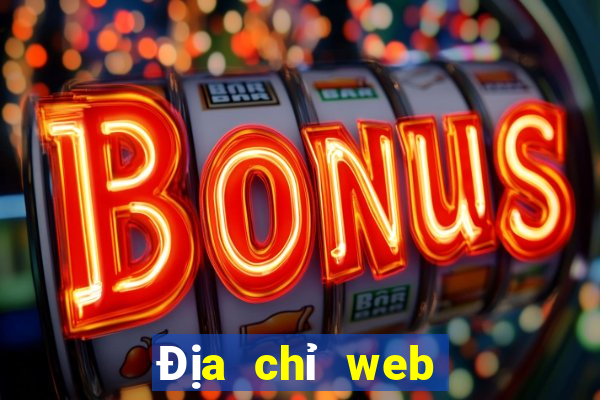 Địa chỉ web Platinum bao nhiêu