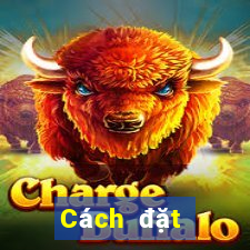 Cách đặt cược XSQNG ngày 20