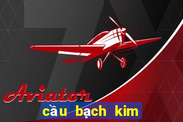 cầu bạch kim miền bắc