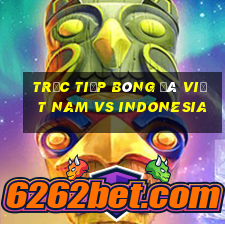 trực tiếp bóng đá việt nam vs indonesia