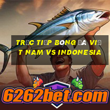 trực tiếp bóng đá việt nam vs indonesia