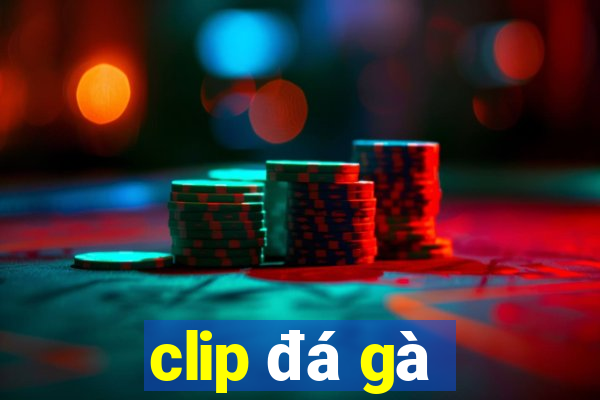 clip đá gà