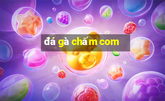 đá gà chấm com