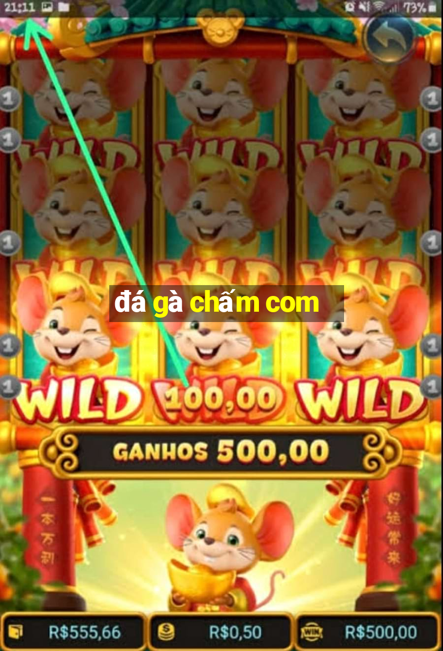 đá gà chấm com