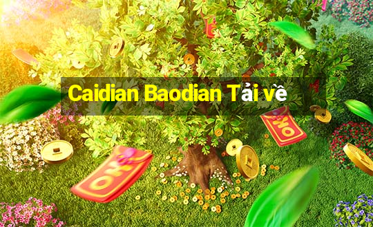 Caidian Baodian Tải về