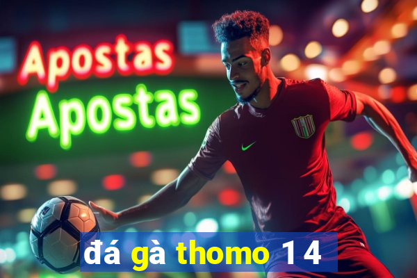 đá gà thomo 1 4