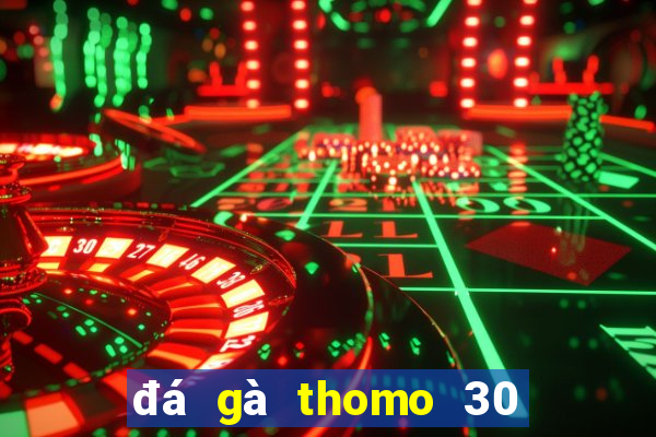 đá gà thomo 30 tháng 9