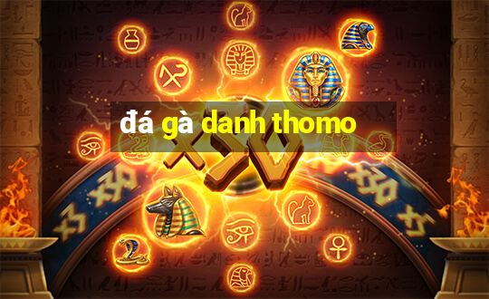 đá gà danh thomo