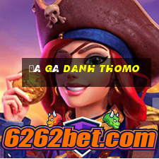 đá gà danh thomo