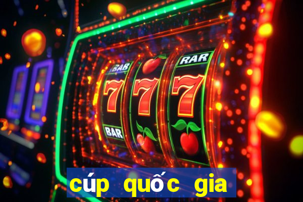 cúp quốc gia bình định gặp nam định