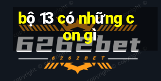 bộ 13 có những con gì