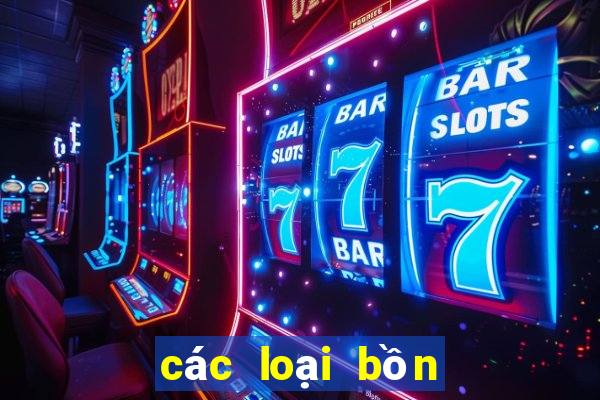 các loại bồn cầu bệt